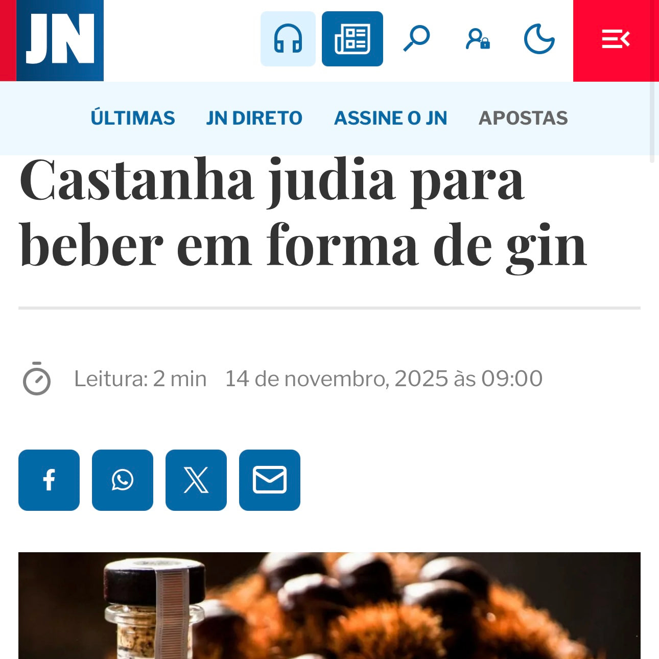 Castanha judia para beber em forma de gin