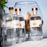 JUDIO GIN