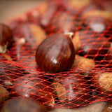 CASTANHA JUDIA C/CERTIFICADO BIO E GLOBALGAP - 1KG